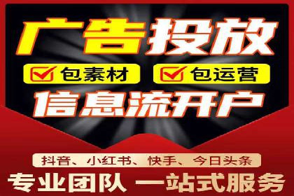 专业SEM代运营公司案例分析